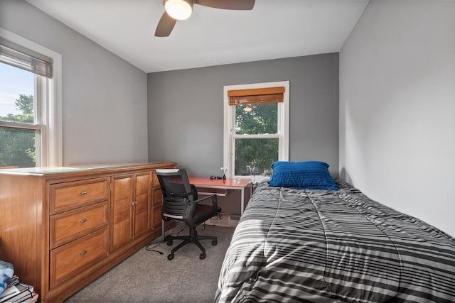 2837 W Coyle Ave, Chicago, IL 60645 - bedroom featuring light carpet and a ceiling fan