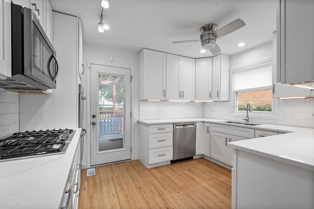 2837 W Coyle Ave, Chicago, IL 60645 - kitchen with stainless steel appliances, a ceiling fan, light stone counters, and plenty of natural light