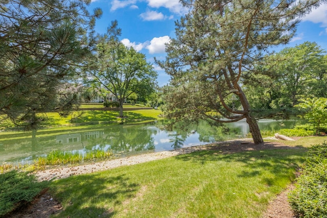 1938 Gresham Cir Unit A, Wheaton, IL 60189 - photo 26