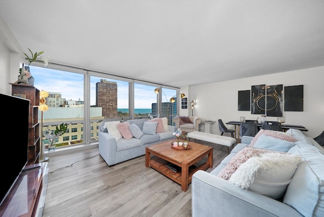 330 W Diversey Pkwy Unit 1606, Chicago, IL 60657 - living room featuring light wood-style floors