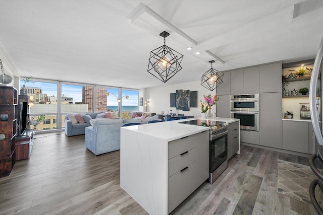 330 W Diversey Pkwy Unit 1606, Chicago, IL 60657 - kitchen with gray cabinets, stainless steel appliances, modern cabinets, light wood-type flooring, and expansive windows