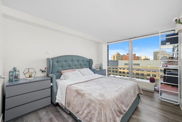 330 W Diversey Pkwy Unit 1606, Chicago, IL 60657 - bedroom with a city view, dark wood-style flooring, and floor to ceiling windows