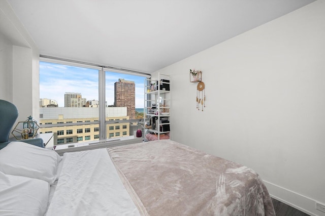 330 W Diversey Pkwy Unit 1606, Chicago, IL 60657 - bedroom featuring a view of city, wood finished floors, and floor to ceiling windows