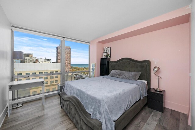 330 W Diversey Pkwy Unit 1606, Chicago, IL 60657 - bedroom featuring wood finished floors, a wall of windows, a view of city, and a water view