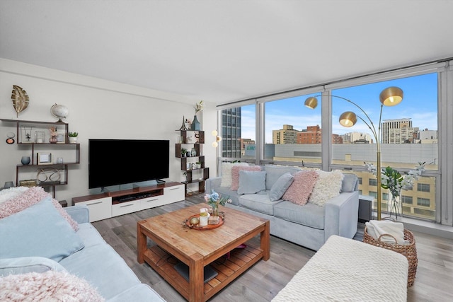 330 W Diversey Pkwy Unit 1606, Chicago, IL 60657 - living area with wood finished floors and expansive windows