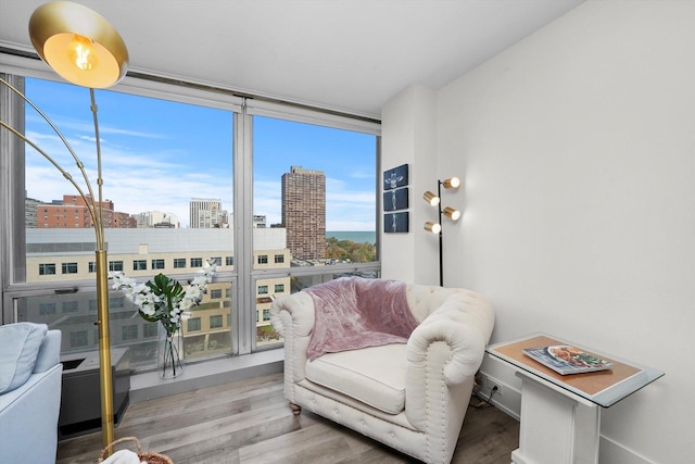 330 W Diversey Pkwy Unit 1606, Chicago, IL 60657 - living area with wood finished floors and a city view