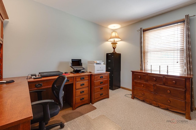417 Pheasant Ridge Ct, Lindenhurst, IL 60046 - photo 19