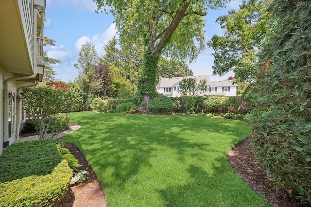 1054 Seneca Rd, Wilmette, IL 60091 - view of yard