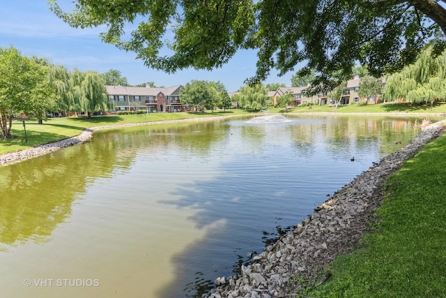 1561 Raymond Dr Unit 103, Naperville, IL 60563 - photo 4