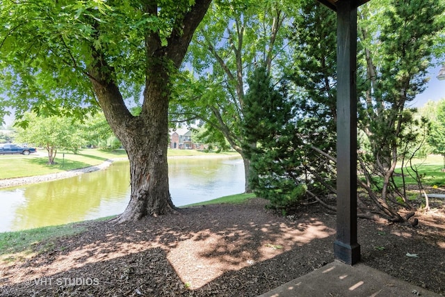 1561 Raymond Dr Unit 103, Naperville, IL 60563 - photo 7
