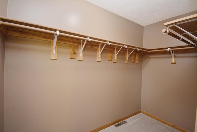 708 Wheeler Dr, Hudson, IL 61748 - spacious closet featuring light carpet