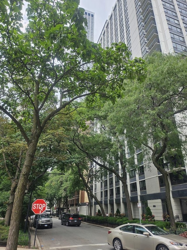 222 E Pearson St Unit 1801, Chicago, IL 60611 - view of property