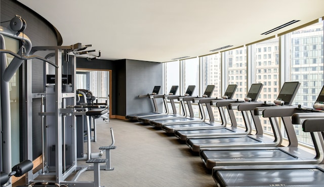 401 N Wabash Ave Unit 35J, Chicago, IL 60611 - gym with baseboards