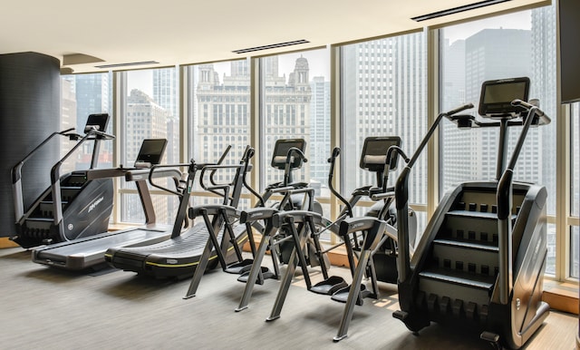 401 N Wabash Ave Unit 35J, Chicago, IL 60611 - workout area with a skyline view, plenty of natural light, and carpet floors