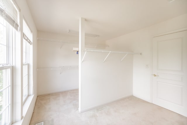 24625 Woodstock Dr, Plainfield, IL 60585 - walk in closet featuring light colored carpet