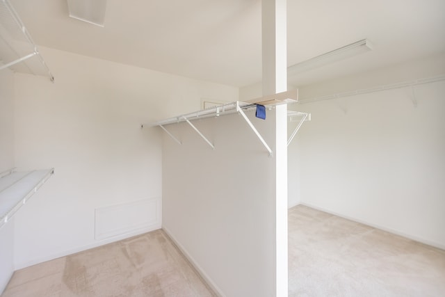 24625 Woodstock Dr, Plainfield, IL 60585 - spacious closet with light colored carpet