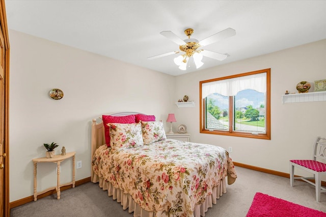 6 Illini Ct, Monticello, IL 61856 - photo 40