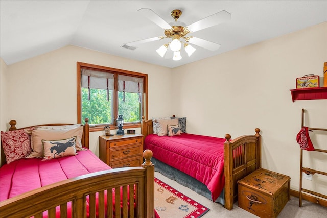 6 Illini Ct, Monticello, IL 61856 - photo 46