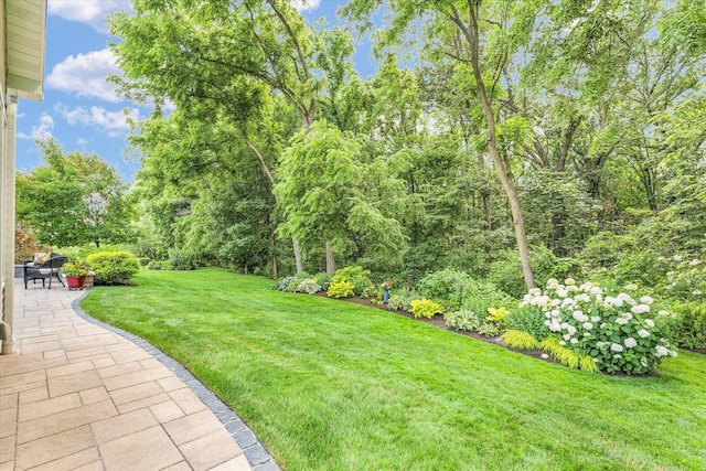 6 Illini Ct, Monticello, IL 61856 - photo 54
