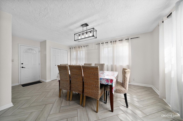 120 Riverside Dr, Montgomery, IL 60538 - dining area featuring baseboards and a textured ceiling
