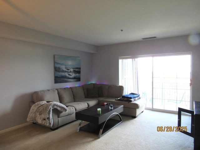 390 W Mahogany Ct Unit 610, Palatine, IL 60067 - view of carpeted living room