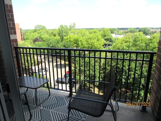 390 W Mahogany Ct Unit 610, Palatine, IL 60067 - view of balcony
