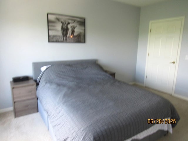 390 W Mahogany Ct Unit 610, Palatine, IL 60067 - bedroom featuring carpet floors and baseboards