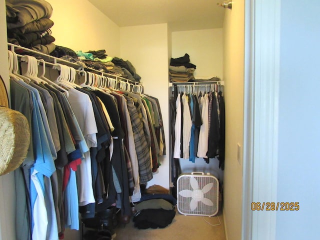 390 W Mahogany Ct Unit 610, Palatine, IL 60067 - walk in closet featuring carpet