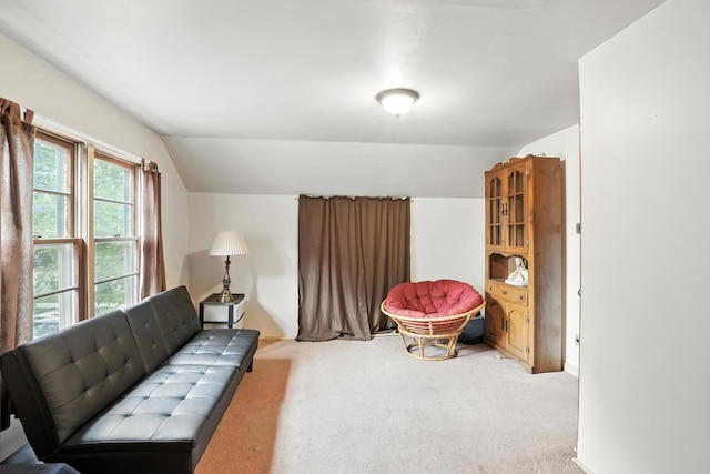 5905 Lynwood Dr, Oak Lawn, IL 60453 - photo 20