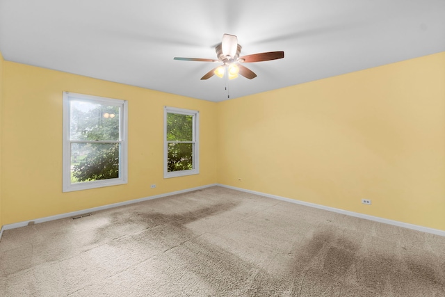 377 Pierce St, Gilberts, IL 60136 - photo 13