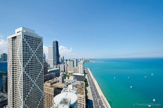 600 N Lake Shore Dr Unit 4510, Chicago, IL 60611 - photo 27
