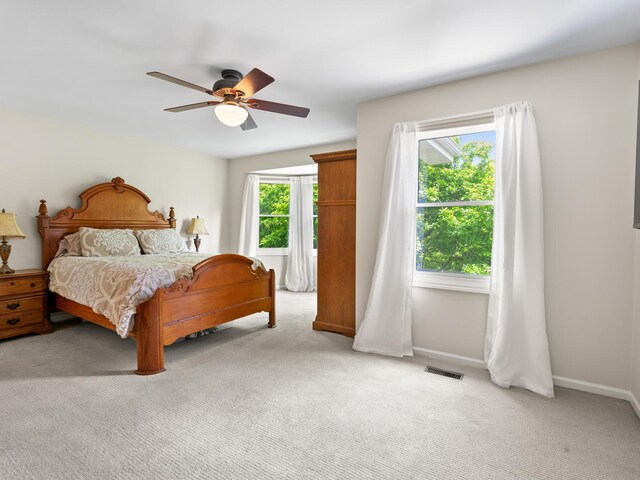 1196 Edgewater Ln, Antioch, IL 60002 - photo 13
