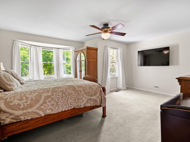 1196 Edgewater Ln, Antioch, IL 60002 - photo 14