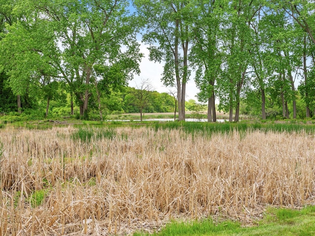 1196 Edgewater Ln, Antioch, IL 60002 - photo 3