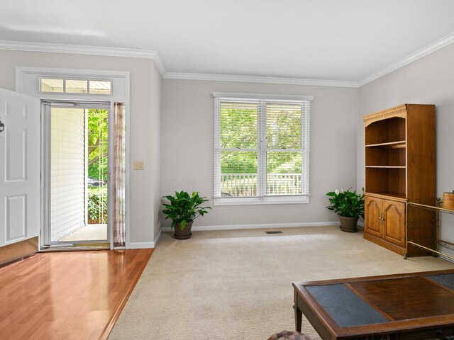 1196 Edgewater Ln, Antioch, IL 60002 - photo 8