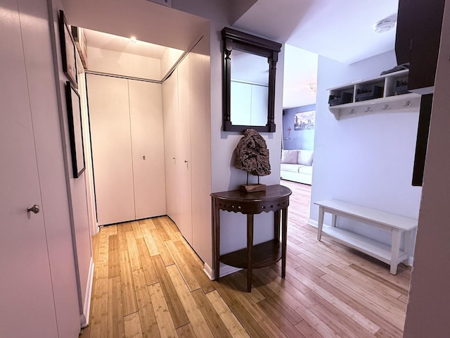3660 N Lake Shore Dr Unit 1309, Chicago, IL 60613 - corridor with light wood finished floors