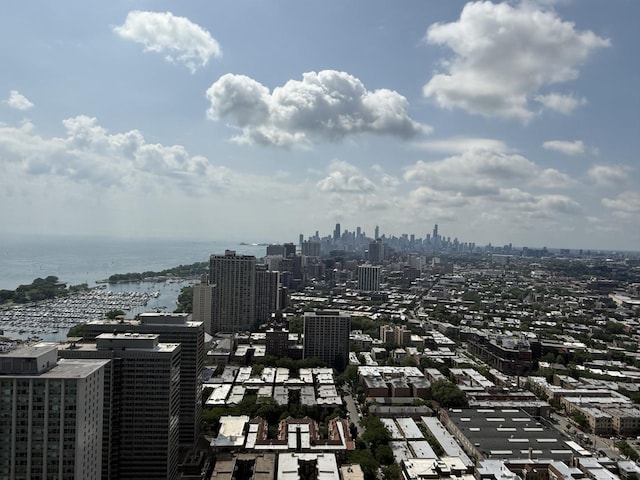 3660 N Lake Shore Dr Unit 1309, Chicago, IL 60613 - skyline view with a large body of water