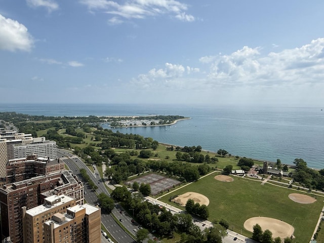 3660 N Lake Shore Dr Unit 1309, Chicago, IL 60613 - drone / aerial view of a nearby body of water