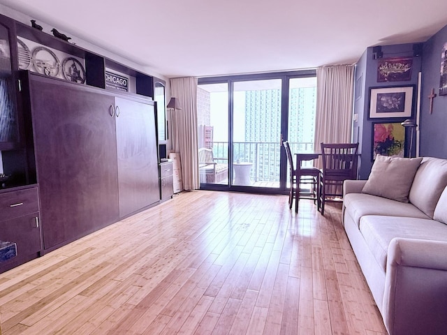 3660 N Lake Shore Dr Unit 1309, Chicago, IL 60613 - living room with wood finished floors and expansive windows
