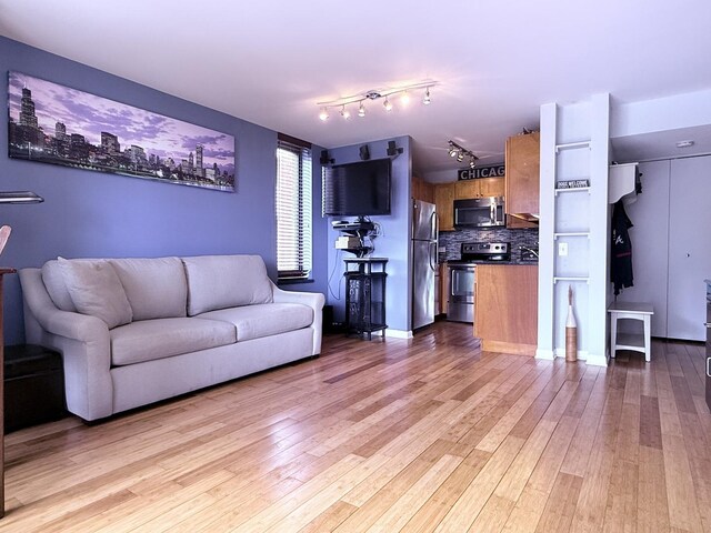 3660 N Lake Shore Dr Unit 1309, Chicago, IL 60613 - living room with light wood finished floors and track lighting