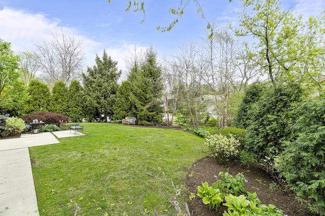 780 Highland Pl, Highland Park, IL 60035 - photo 31