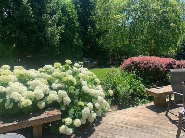 780 Highland Pl, Highland Park, IL 60035 - photo 33