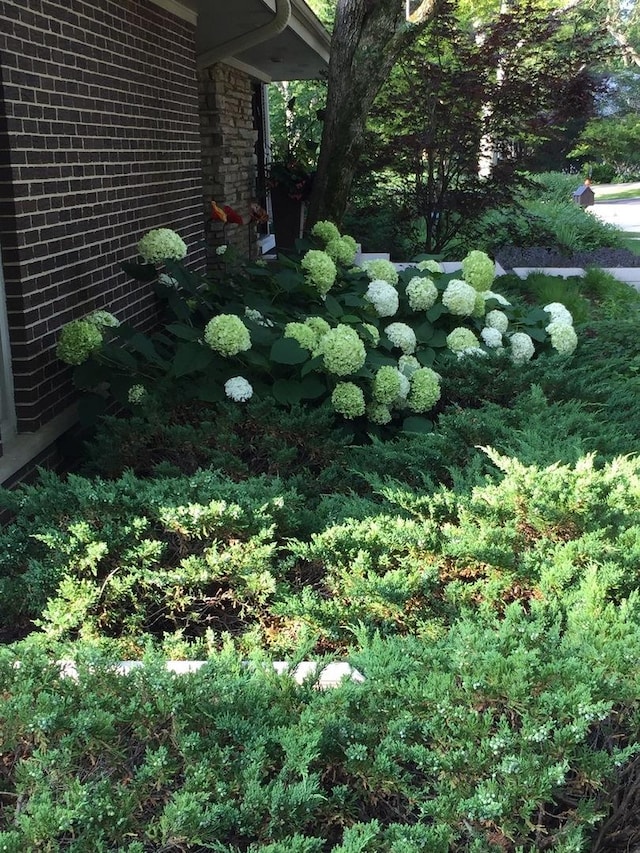 780 Highland Pl, Highland Park, IL 60035 - photo 35