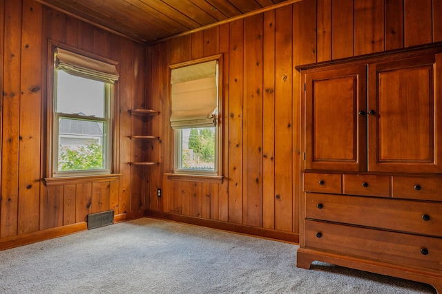 17848 W Fairfield Ln, Grayslake, IL 60030 - spare room with wooden ceiling, carpet floors, and wood walls