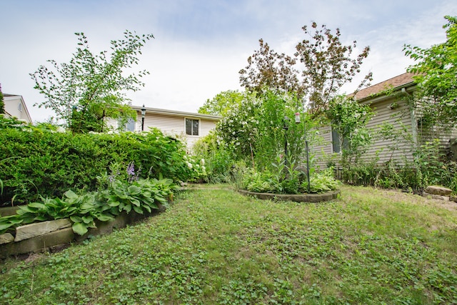 535 Weidner Rd, Buffalo Grove, IL 60089 - view of yard