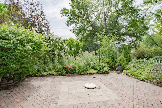535 Weidner Rd, Buffalo Grove, IL 60089 - view of patio