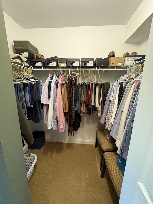 8457 Callie Ave, Morton Grove, IL 60053 - walk in closet featuring carpet
