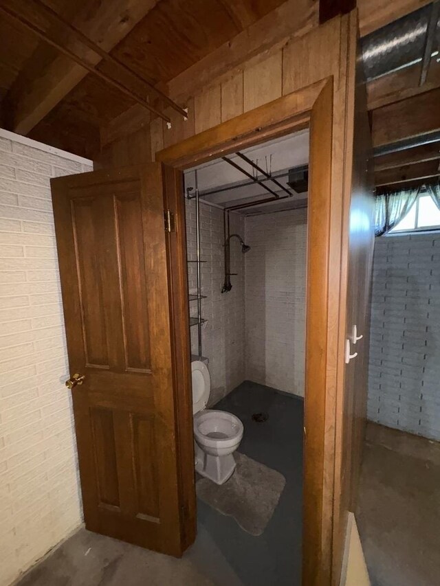 126 N Randolph St, Princeton, IL 61356 - view of basement