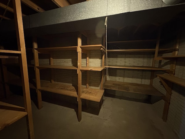 126 N Randolph St, Princeton, IL 61356 - view of storage