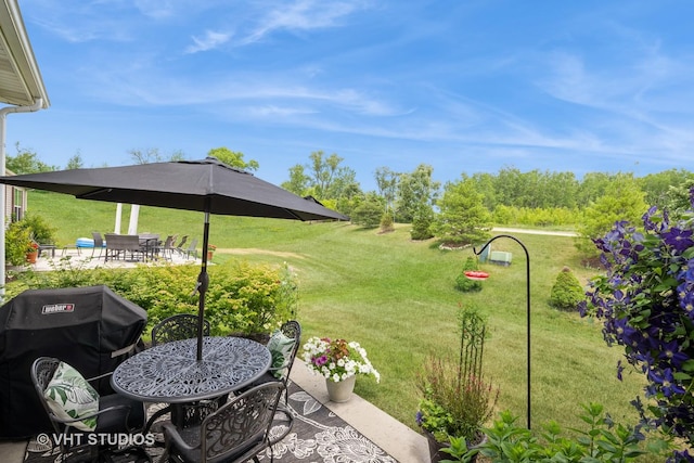 321 Mahogany Dr, Algonquin, IL 60102 - view of grassy yard with a patio area